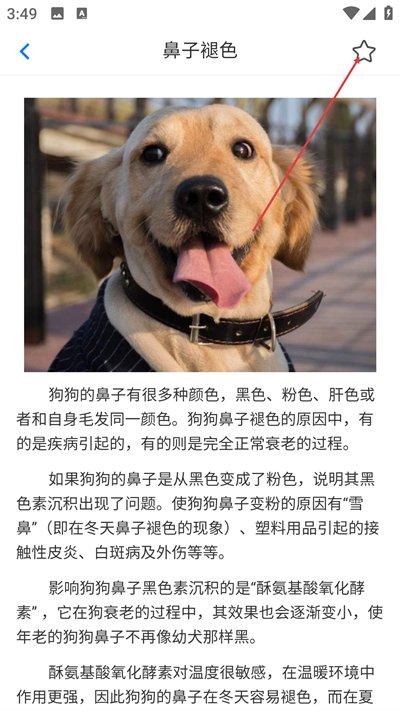 犬卫士app安卓版下载 犬卫士app安卓版下载