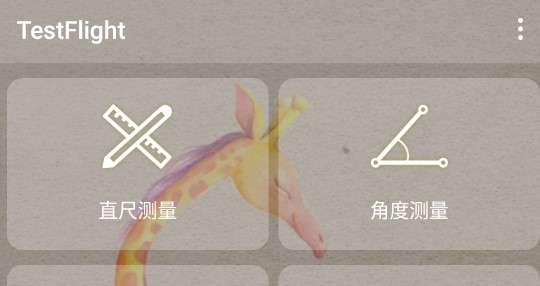 TestFlight官方版
