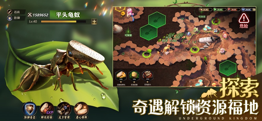 小小蚁国手游