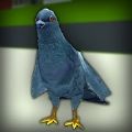 鸽子横冲直撞模拟器最新版(Pigeon Rampage Simulator)